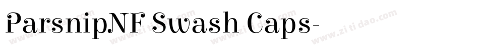 ParsnipNF Swash Caps字体转换